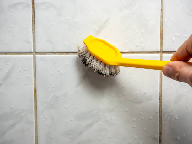 Best Commercial Mold Remediation in Independence, MO