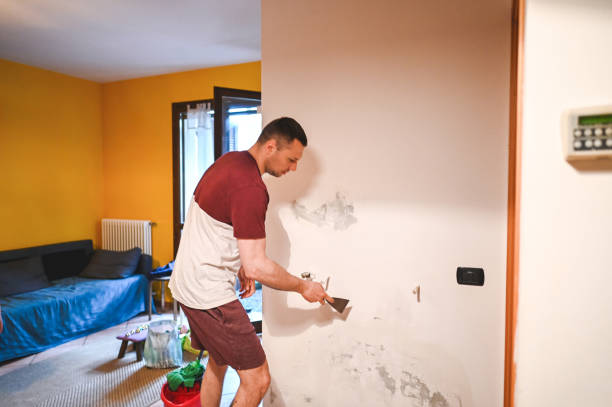 Trusted Independence, MO Mold Remediation Experts